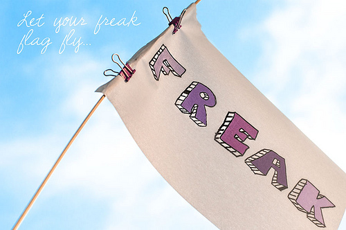 on-flying-your-freak-flag-by-lisagerber