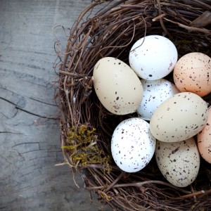 eggs_in-Basket_shutterstock_87023669