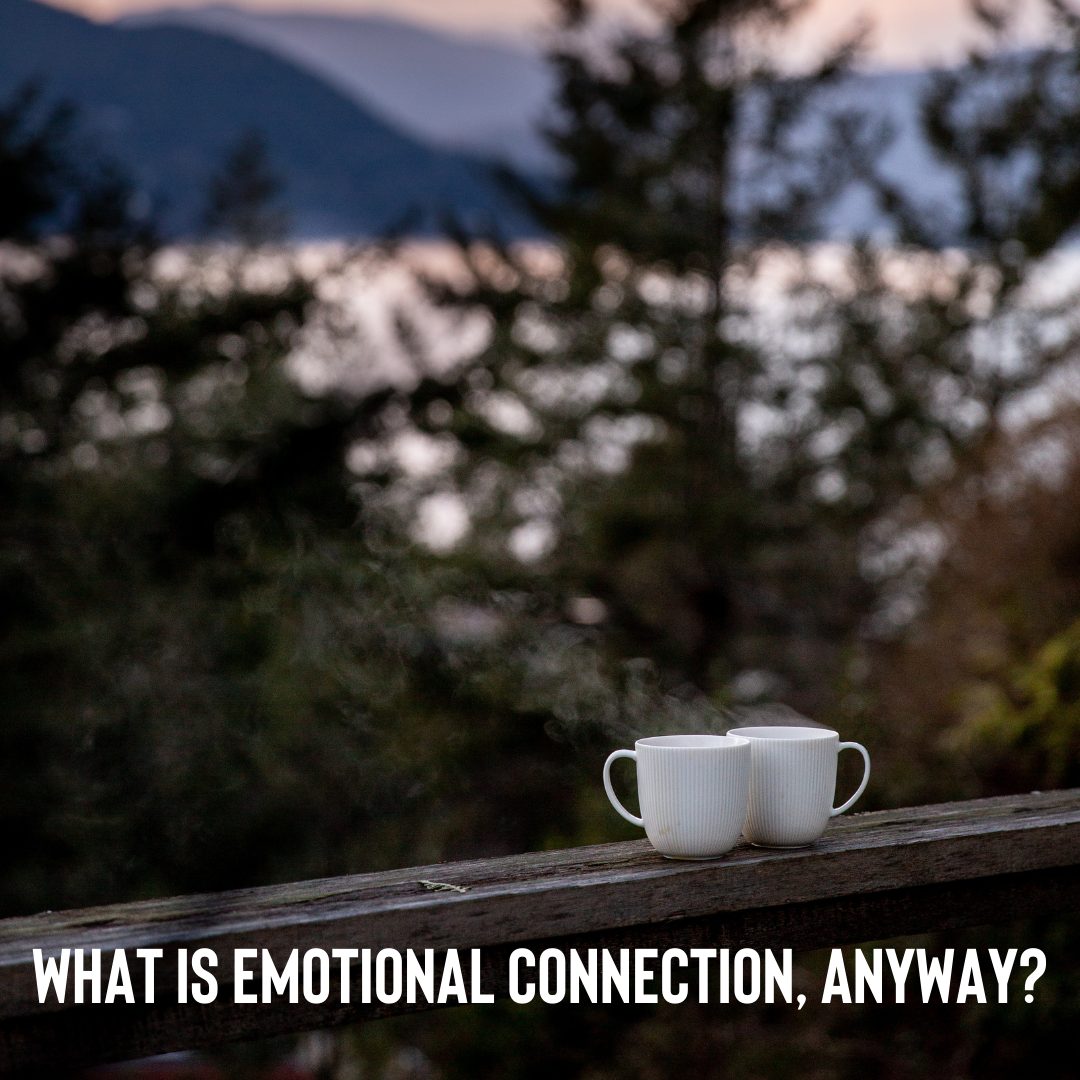 what-is-emotional-connection-anyway-lisa-gerber